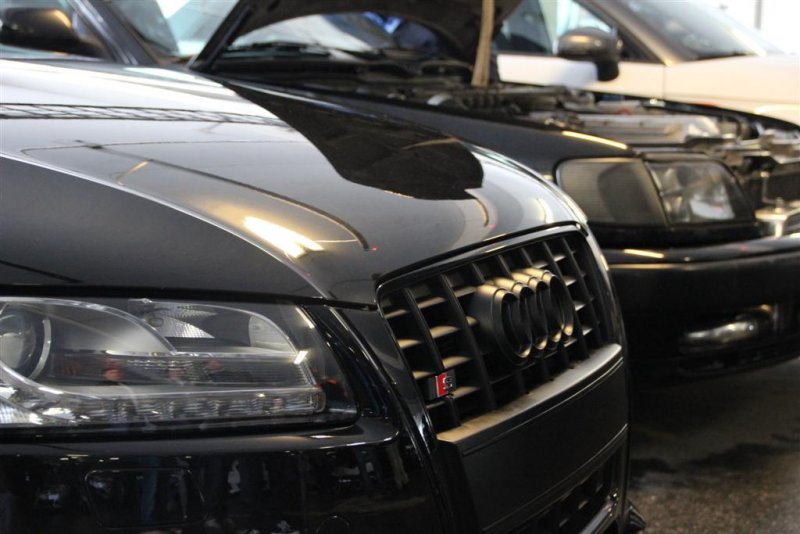 IMG_3314 (Large).JPG