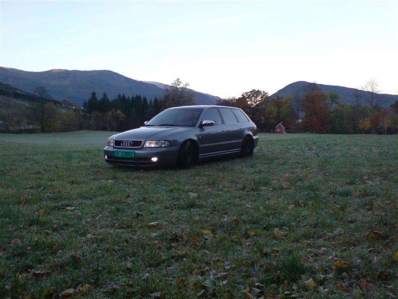 DSC00005 (Medium).JPG