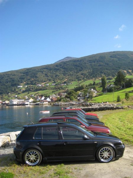 IMG_4177 (Large).JPG