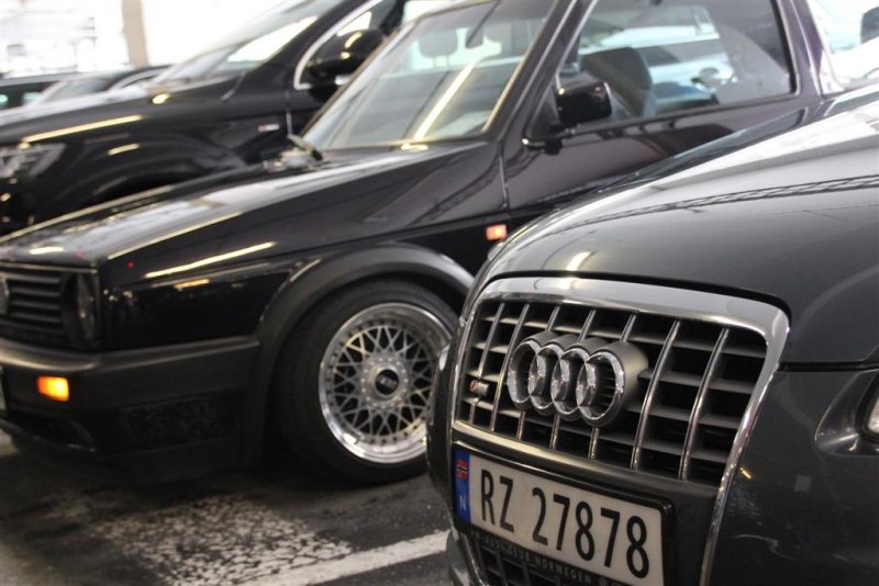 IMG_3305 (Large).JPG