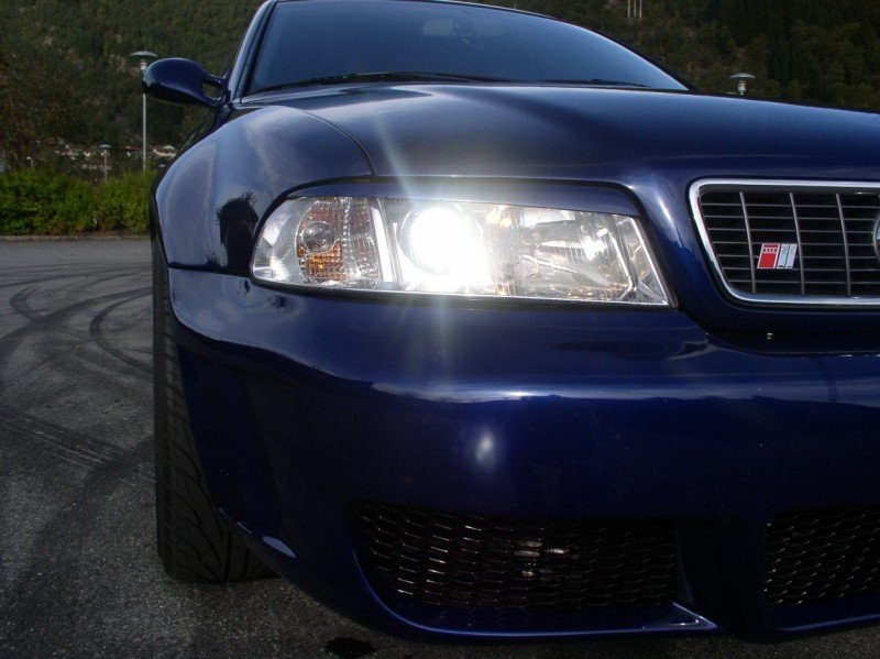 P1010441 (800 x 599).jpg