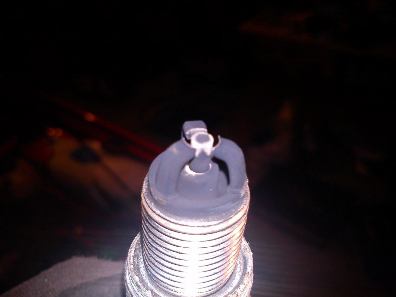 DSC00301 [800x600].jpg