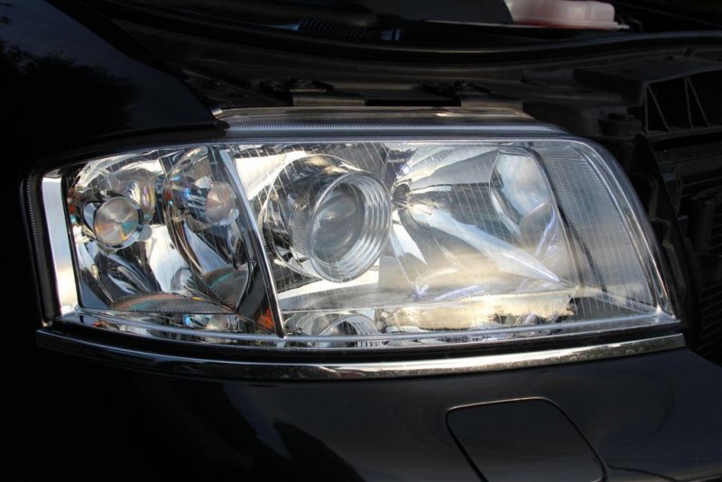 IMG_1832 (Large).JPG