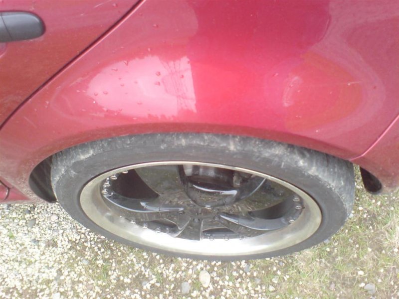 DSC00672 (Large).JPG