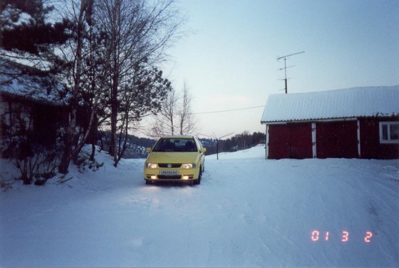 Første bilde av Poloen 2.JPG