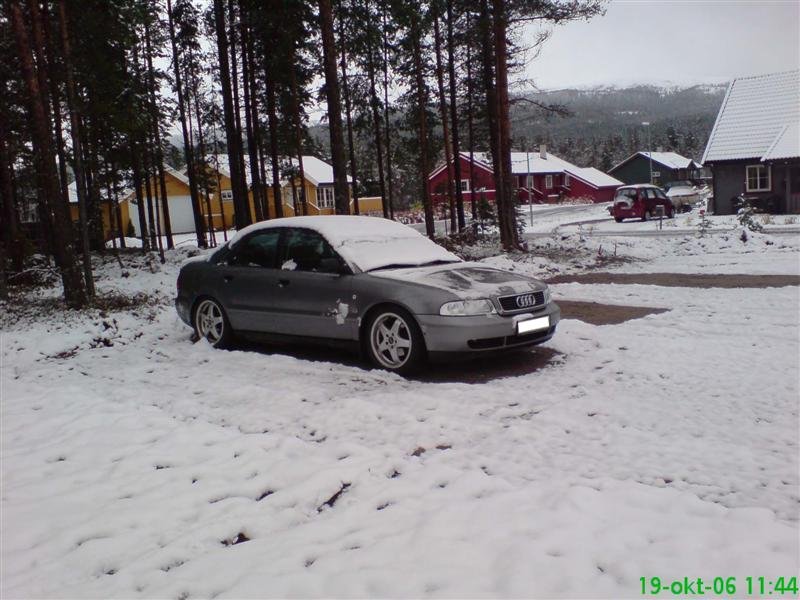 DSC00100 (Medium).JPG