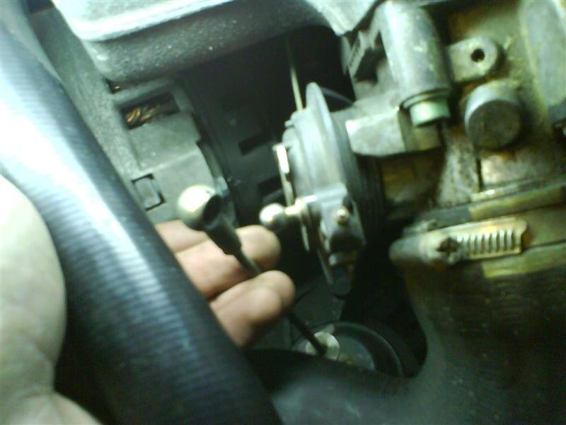 DSC00420 (Medium).JPG