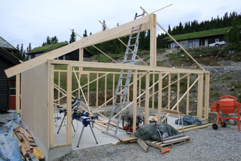 IMG_4882 (1024 x 684).jpg