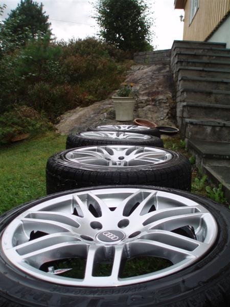 P8120949 (Medium).JPG