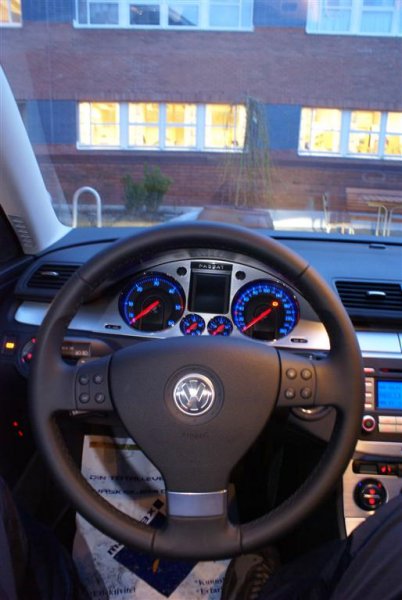 DSC01249 (Large).JPG