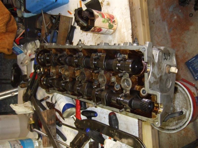 DSCF2088 (Medium).JPG