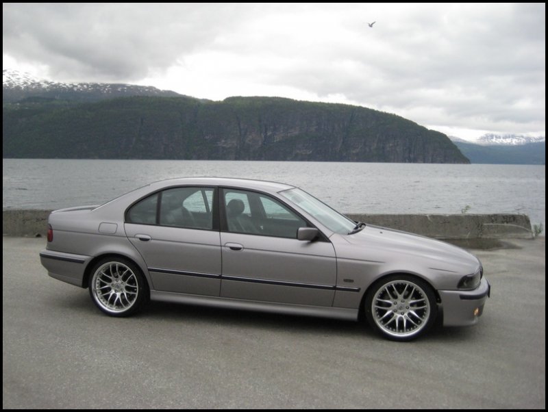 BMW 523  003.jpg