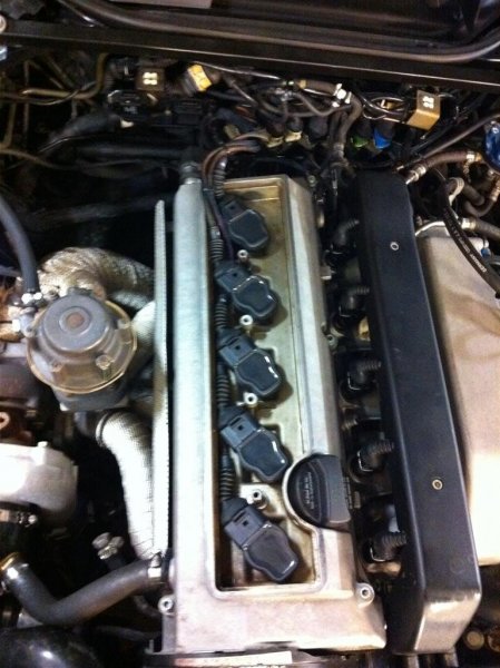 IMG_0121 (Medium).JPG