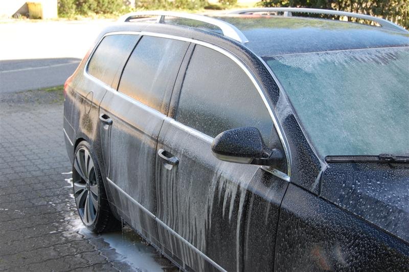 DSC_0100 (Medium).JPG