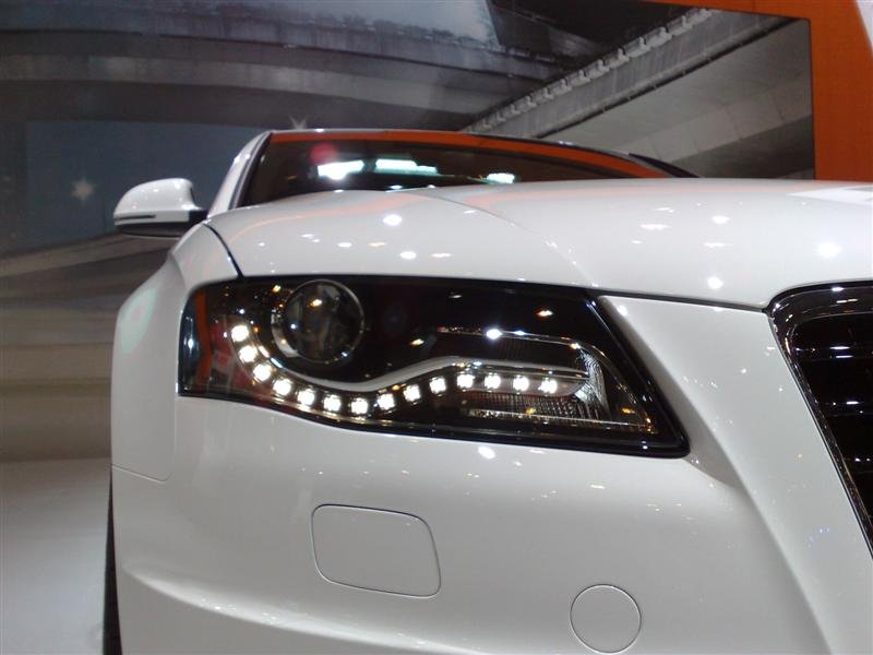 30112007019 (Medium).jpg