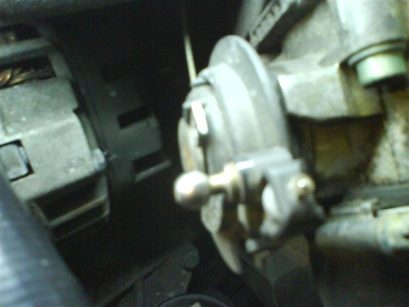 DSC00421 (Medium).JPG