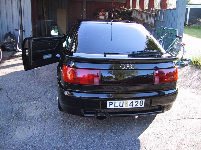 S2 med RS2  bakfanger.jpg