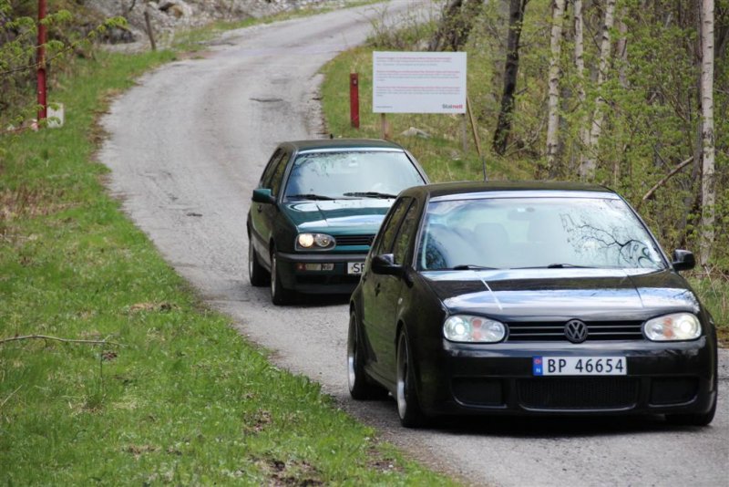 IMG_1550 (Large).JPG