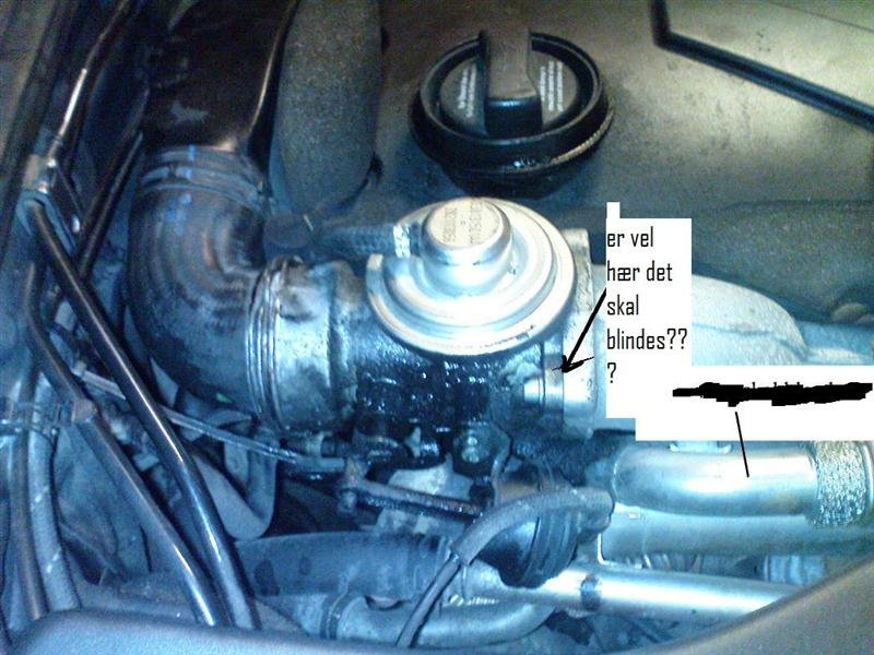 DSC00023red (Medium).jpg