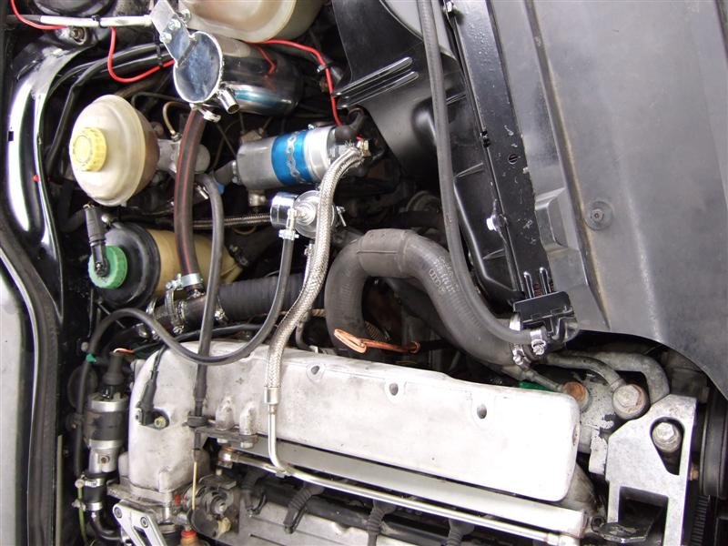 DSCF0950 (Medium).jpg