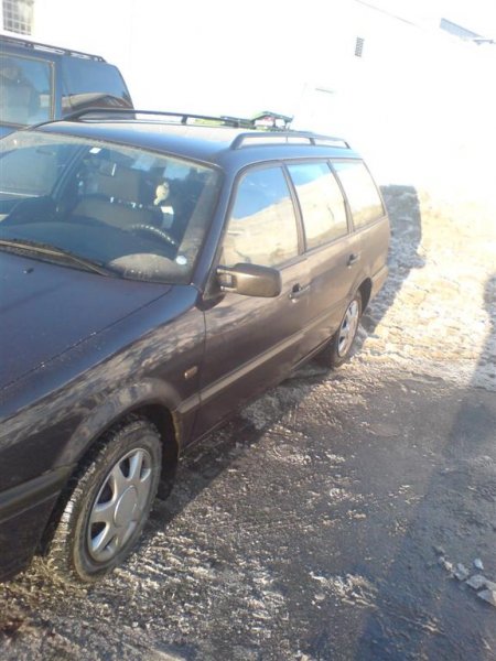 DSC00589 (Large).JPG