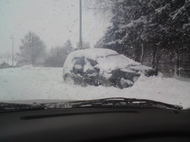 DSC00098 [800x600].JPG