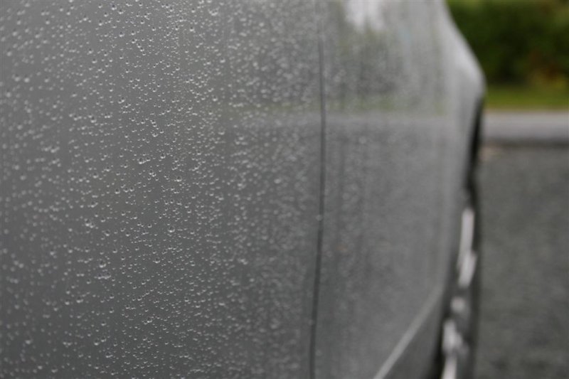 Passat_ 026 (Large).jpg