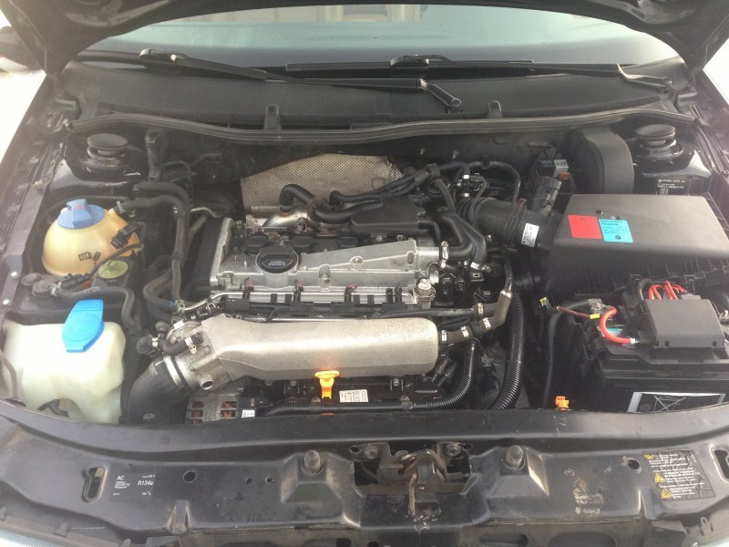 Img_0082 resized.jpg