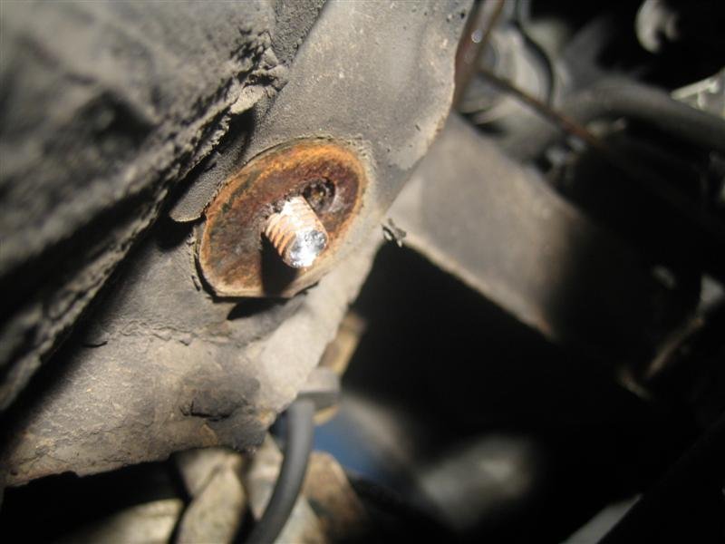 IMG_1384 (Medium).JPG