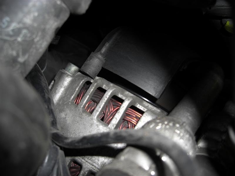 CIMG1507 (Medium).JPG