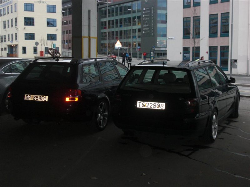 treff (7) (Large).JPG