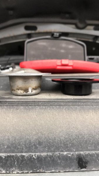 2017-04-01 11.24.52.jpg