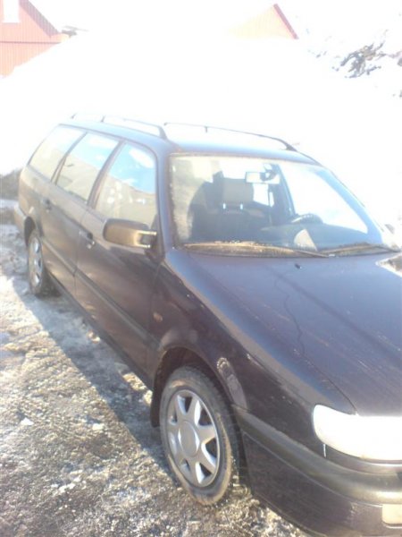 DSC00590 (Large).JPG