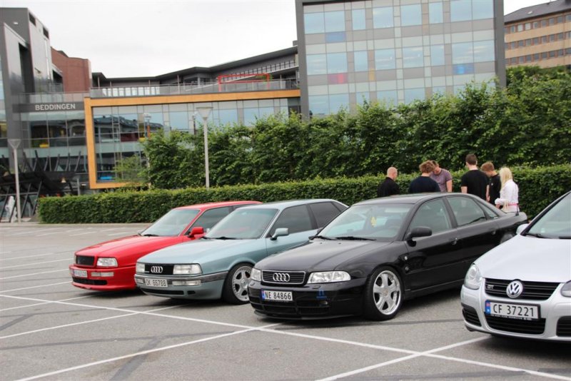 IMG_2377 (Large).JPG