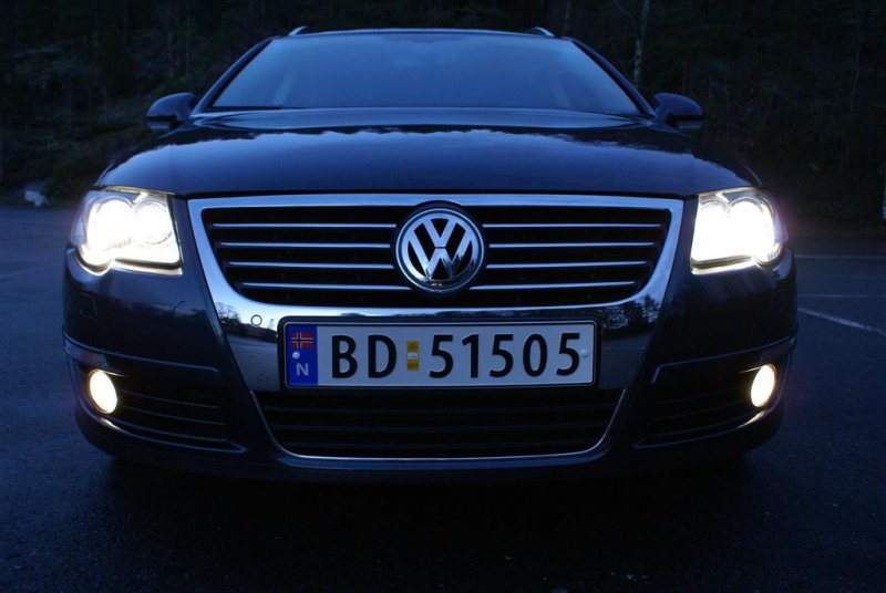 DSC01245 (Large).JPG