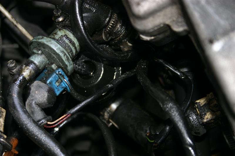 IMG_4999 (Medium).JPG