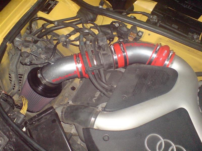 DSC00222 (Medium).JPG