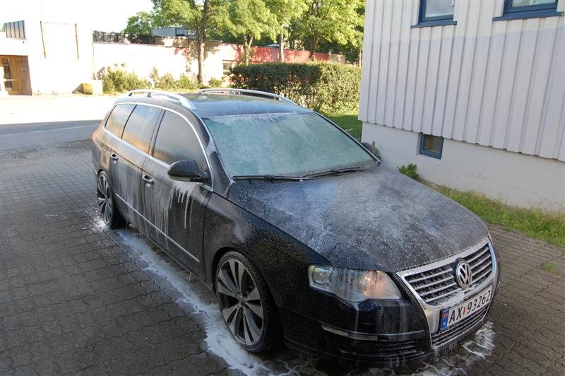 DSC_0099 (Medium).JPG