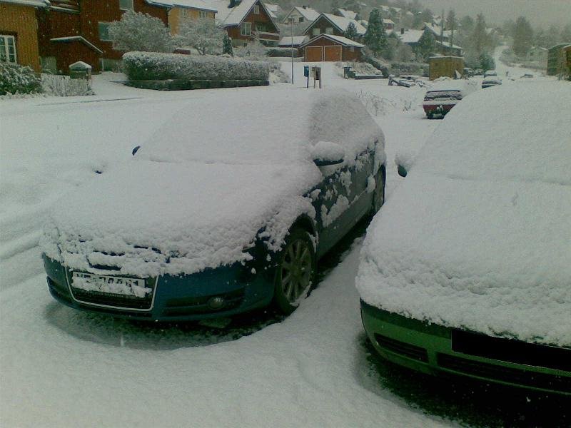 Audi & VW i snøvær.JPG