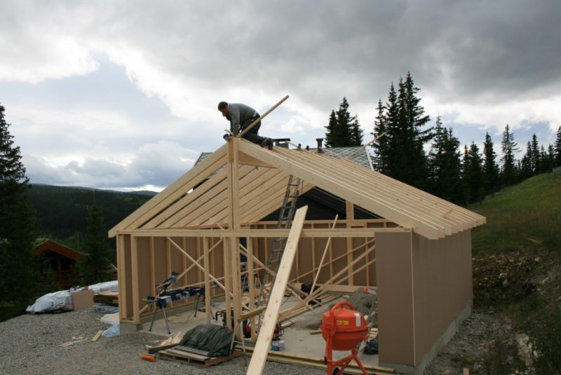 IMG_4901 (1024 x 684).jpg