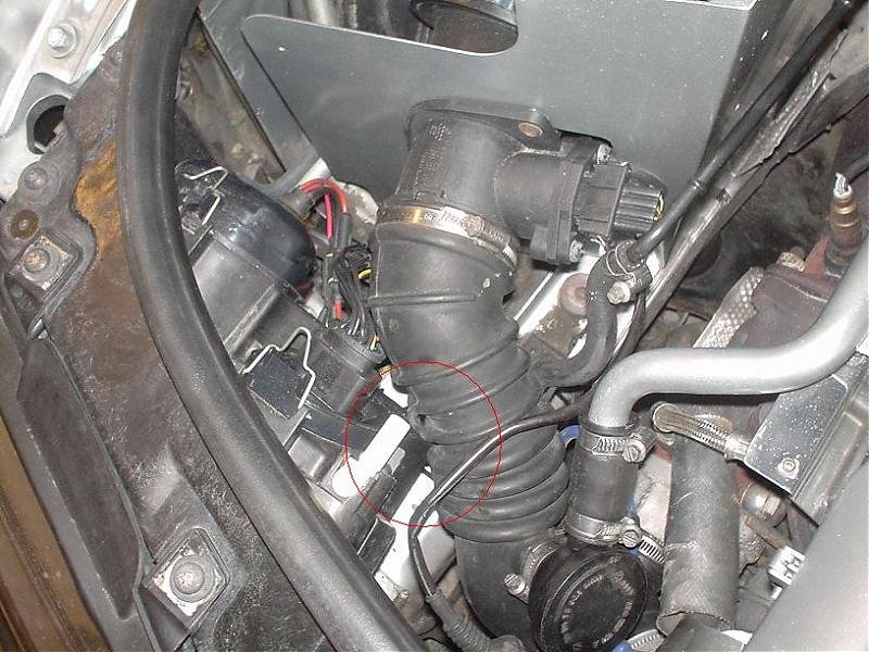 DSC03337 lykt,slange.jpg