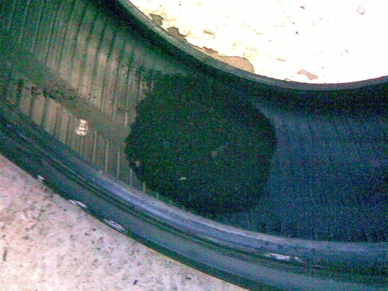 22012008(008) (Medium).jpg