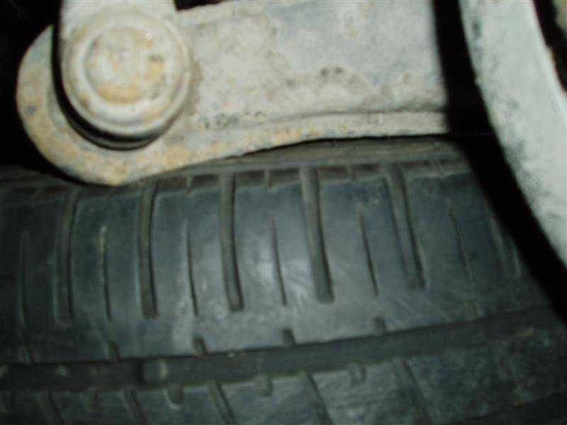 P5080045 (Medium).JPG