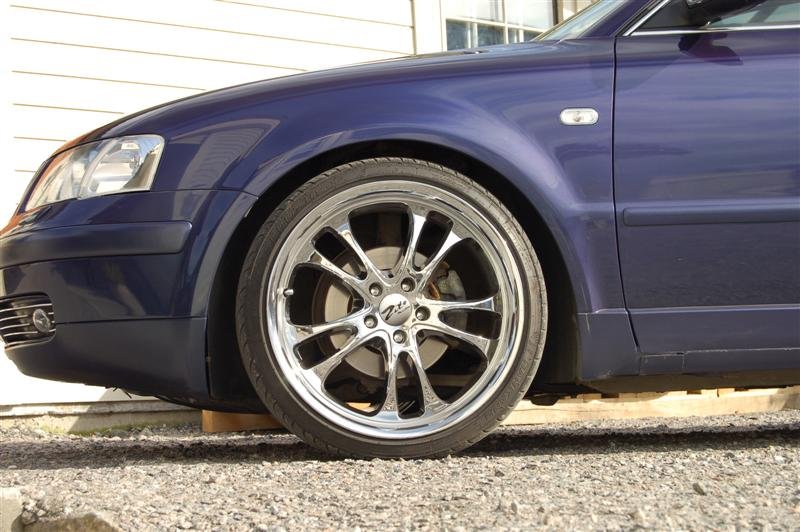 DSC_0047 (Custom).JPG