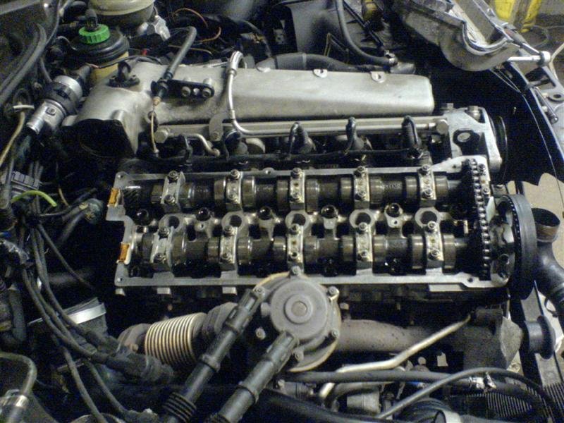 DSC00145 (Medium).JPG