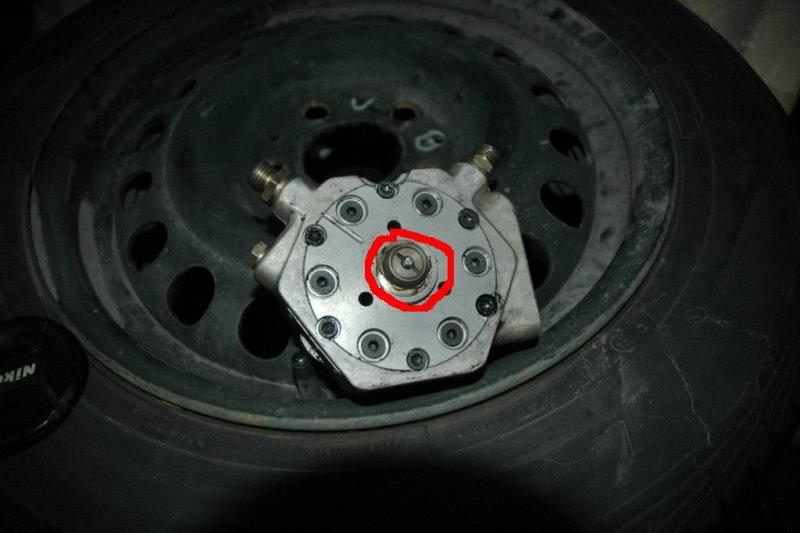 DSC_7906 (1024 x 681).jpg