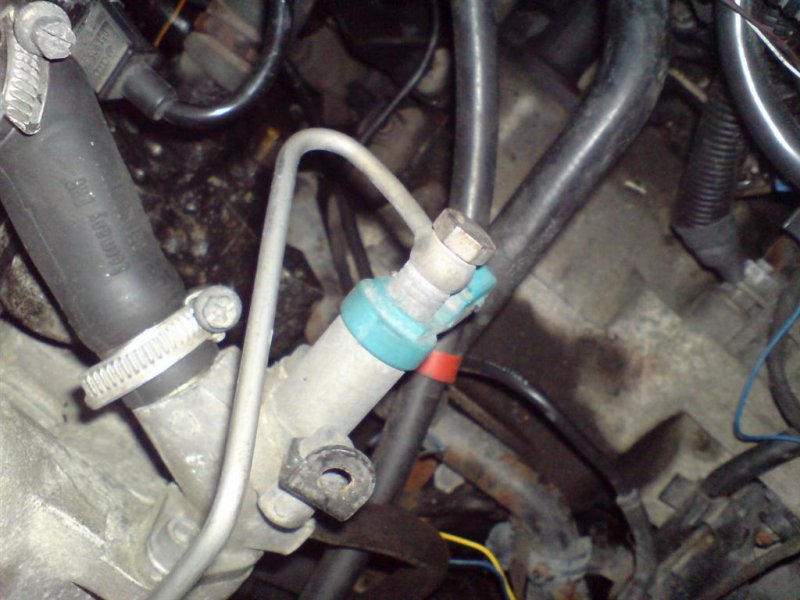 DSC00544 (Large).JPG