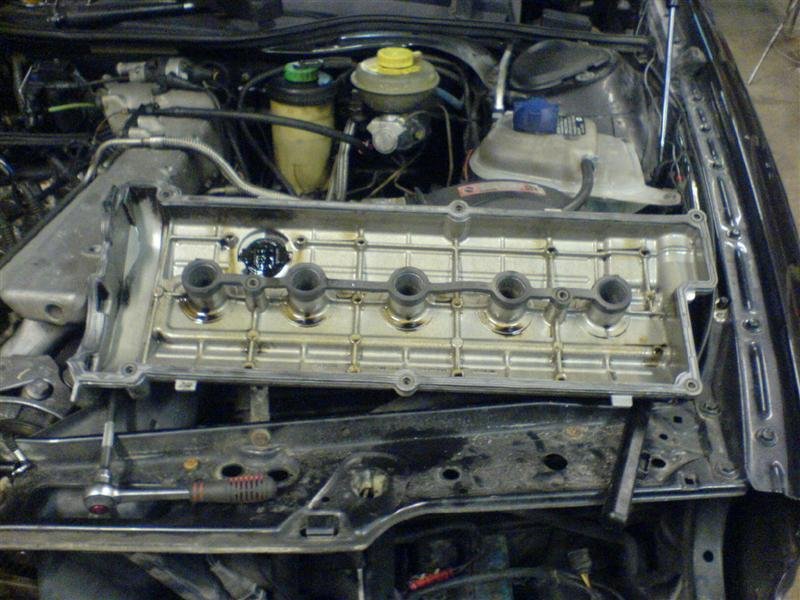 DSC00142 (Medium).JPG