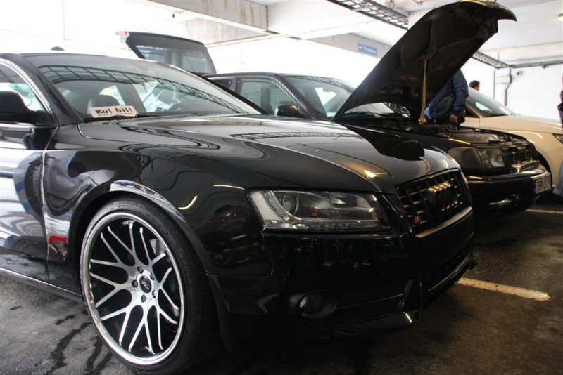 IMG_3313 (Large).JPG