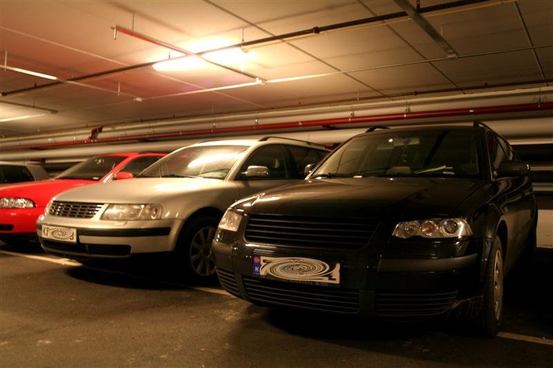 Picture 061 (Medium).jpg